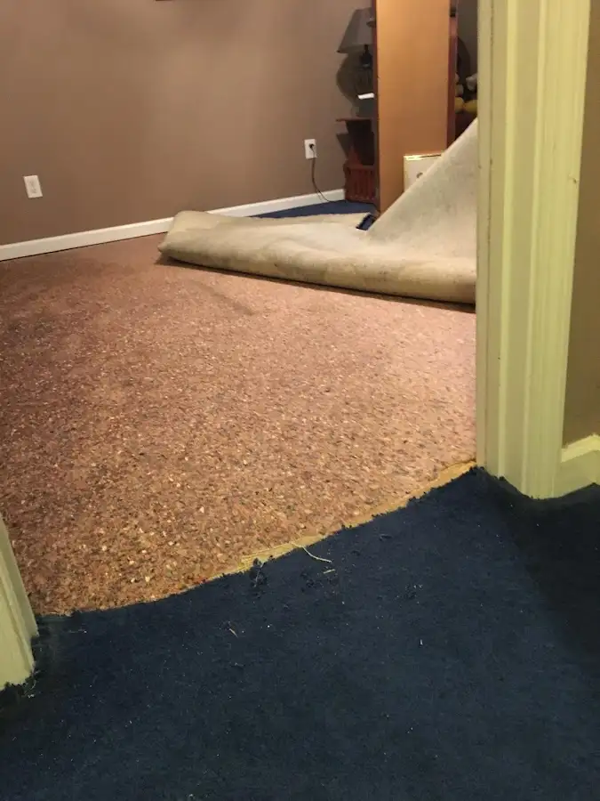 Carpet pad removal revealing water damage during Drying & Dehumidification in Painesville