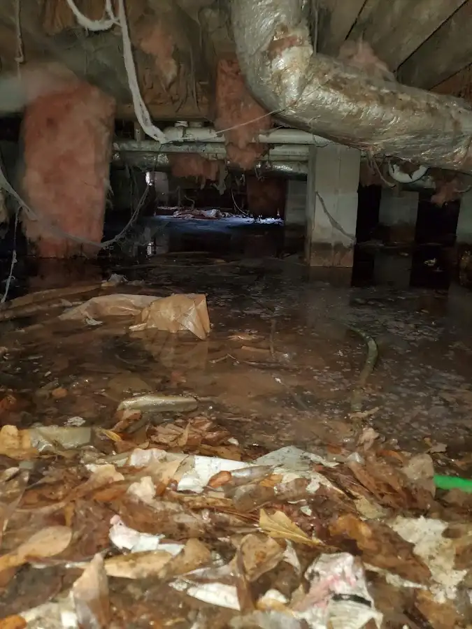 Crawl space flood assessment for Leak Detection & Repair in Painesville