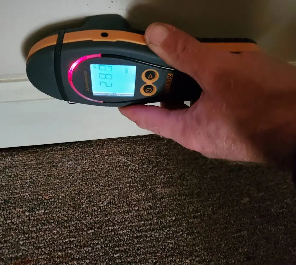 Moisture detection at baseboard during Sewage Cleanup & Sanitation in Painesville